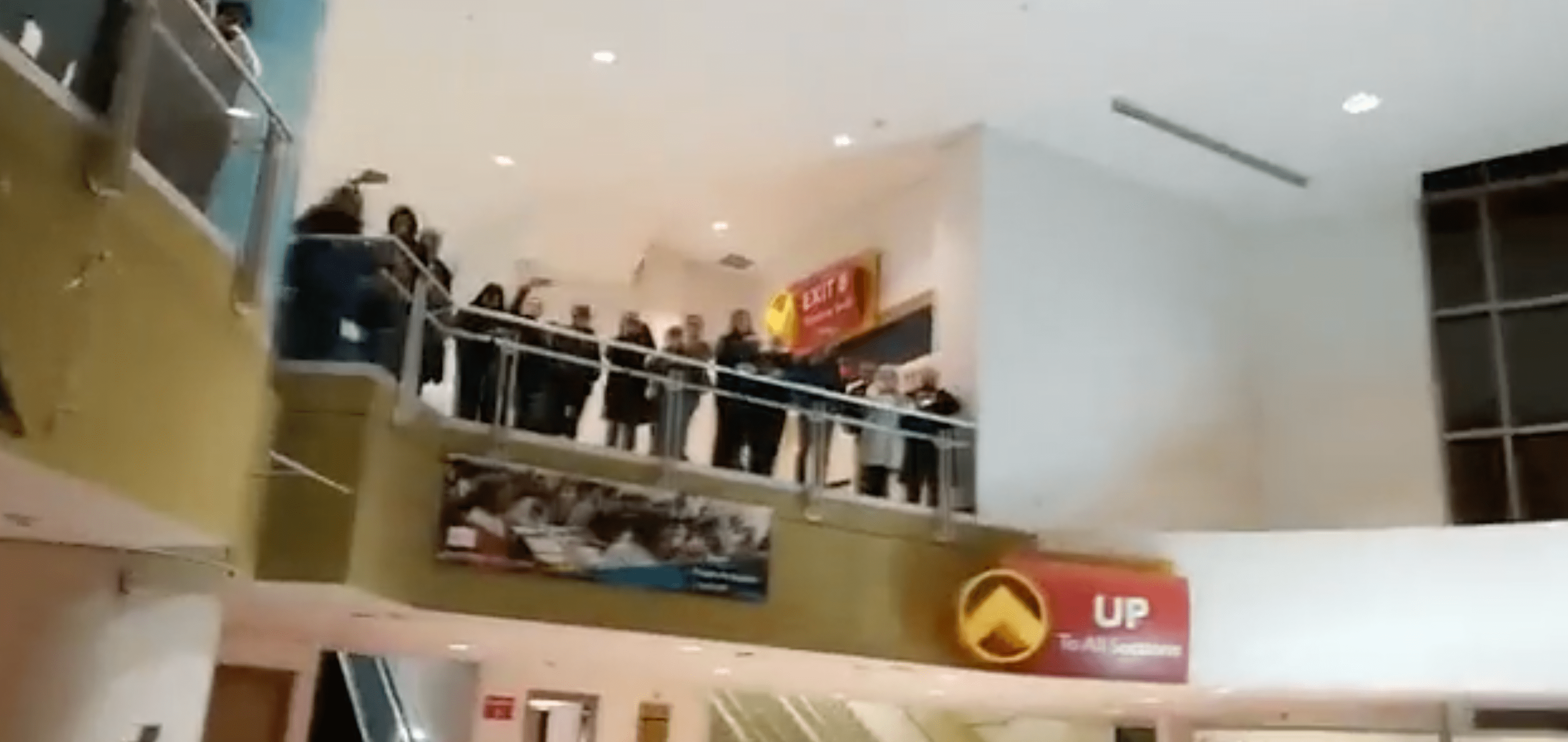 Screen Shot 2019-03-10 at 10.34.00 PM